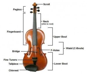 violinconsruction3